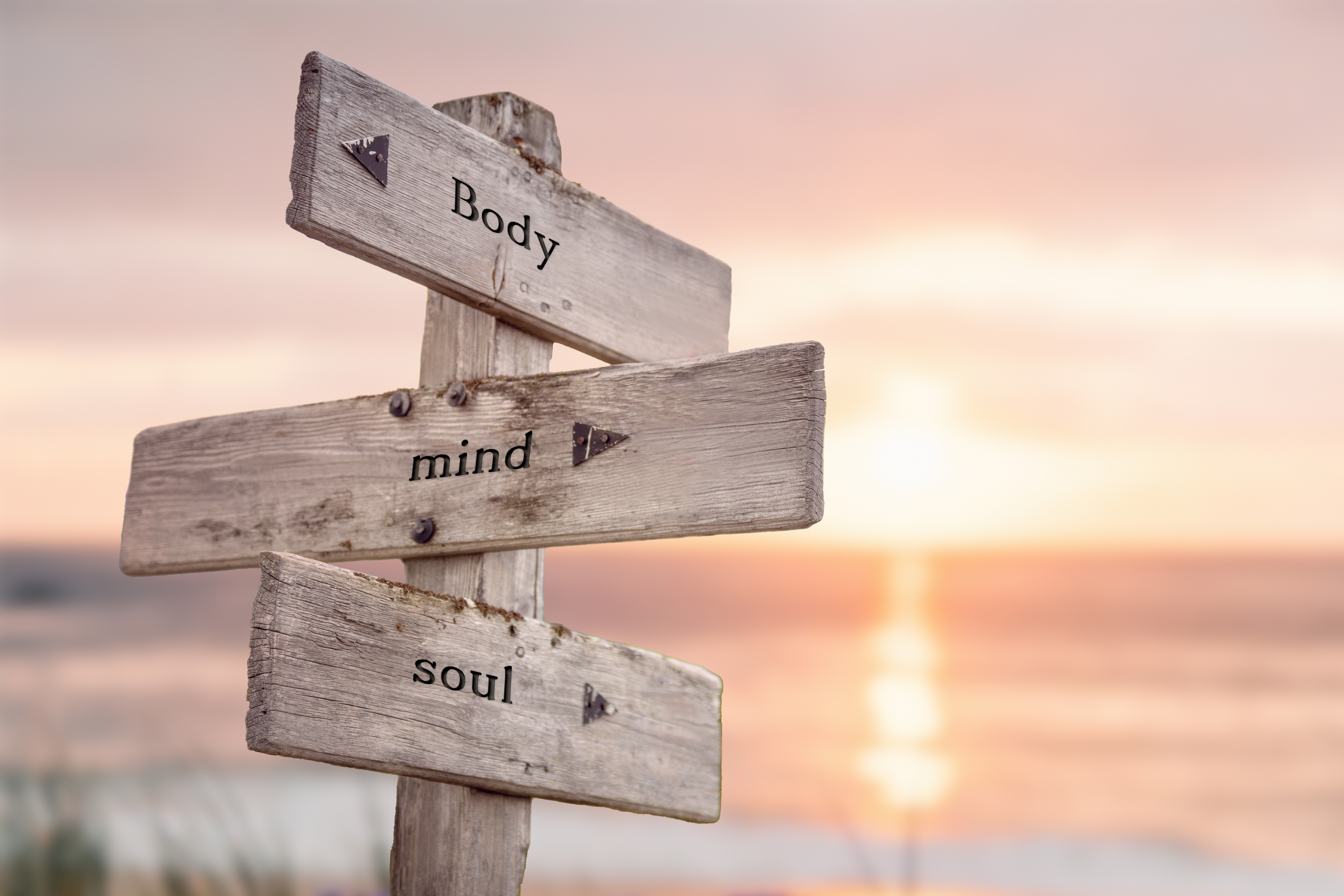 Focusing-Oriented Therapy