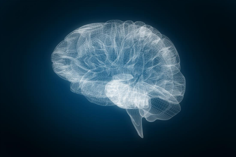 QEEG brain mapping visualization