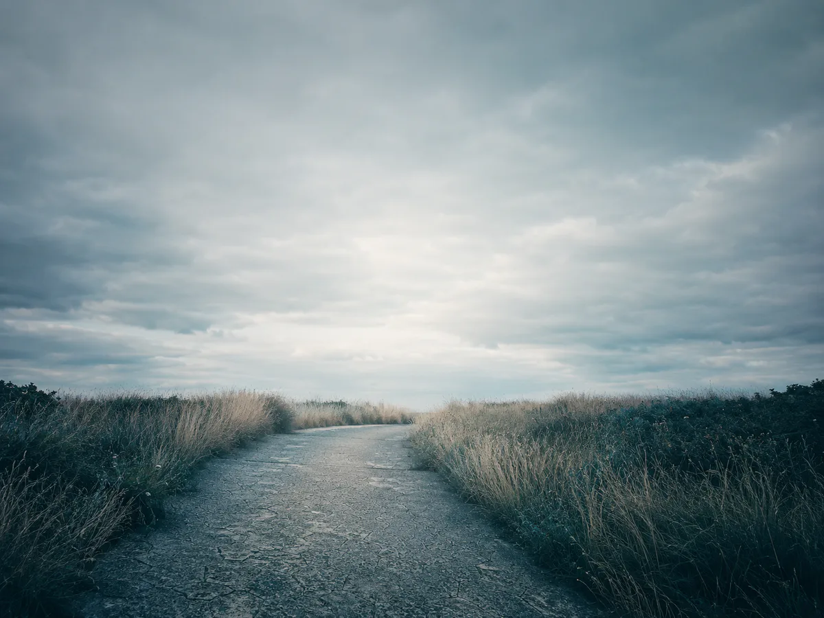 A quiet path winding through tall grasses beneath a cloudy sky